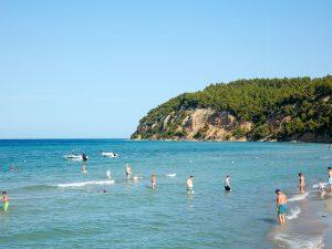 58b6f9faba941beb53d12e96 large