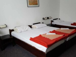 Hotel Olga Dedijer 2