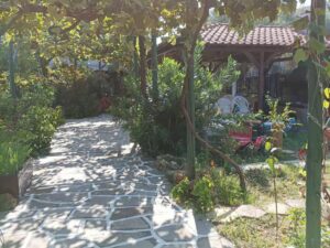 vana studios tasos 15 1