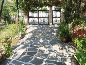 vana studios tasos 20 1