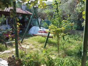 vana studios tasos 21 1