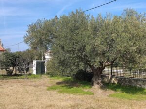 vila ikonomu studios 7266 5