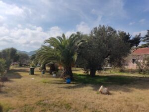 vila ikonomu studios 7266 6